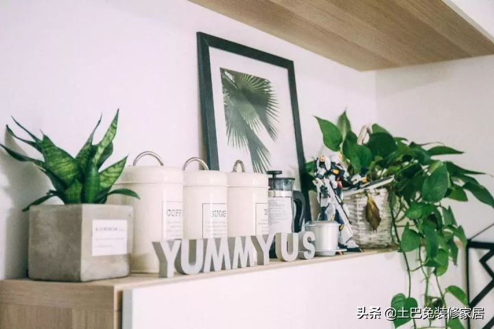 37㎡超小户型，住下“一家五口”再带一个小花园