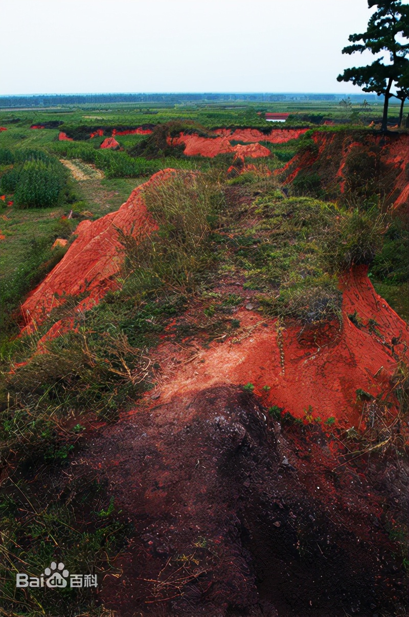盘点一下我国自有记录以来的十大地震，最多一次死亡人数83万