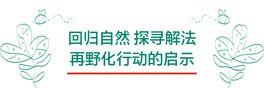 地球日特辑 | 延续地球之美，我们可以做什么？