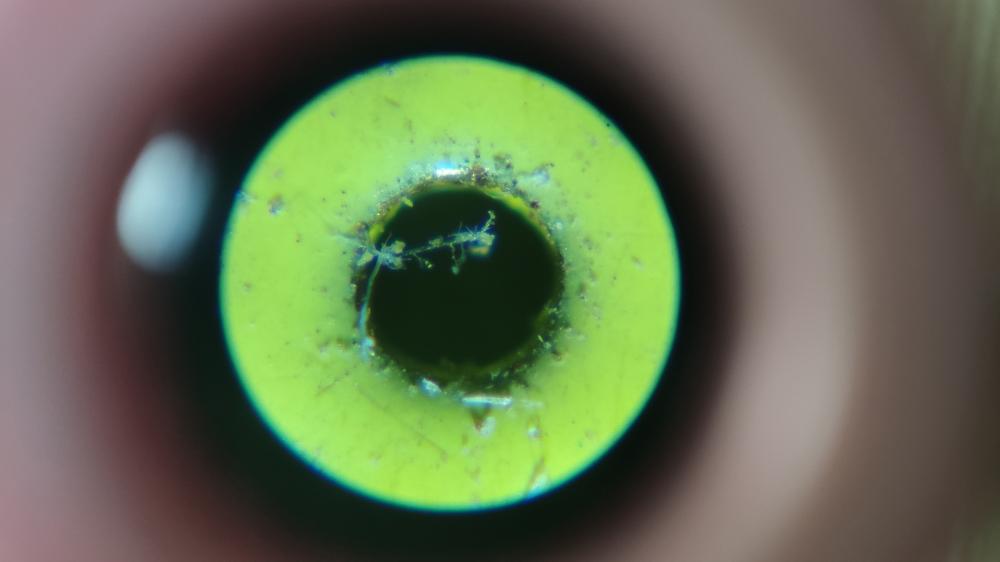 星特朗便携显微镜：你将随时看到不一样的世界