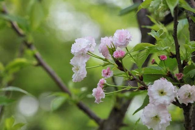 亲情的“等价交换”，最真实！别不信