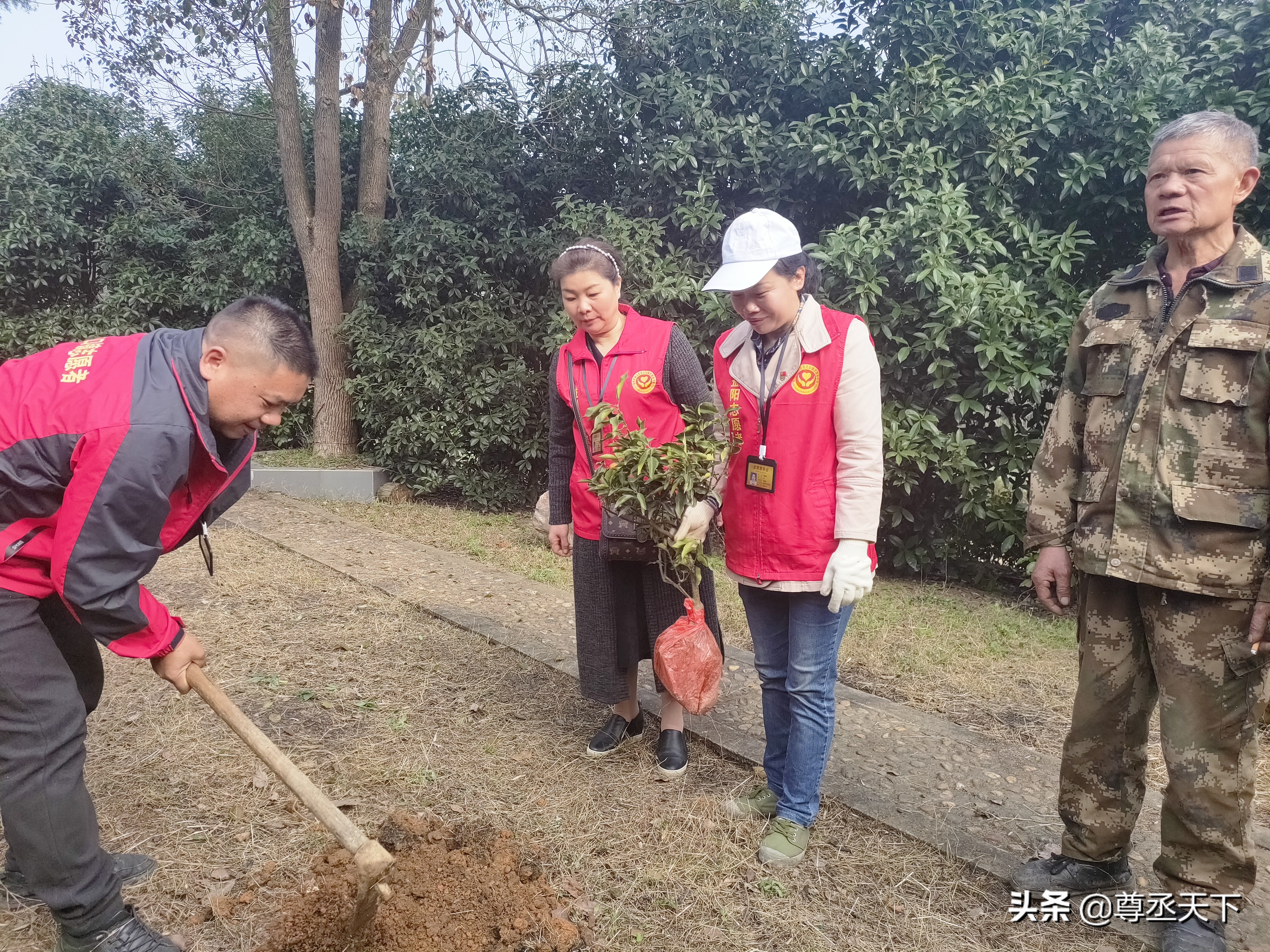 泥江口镇志愿者厚“植”大爱精神·敬革命英雄