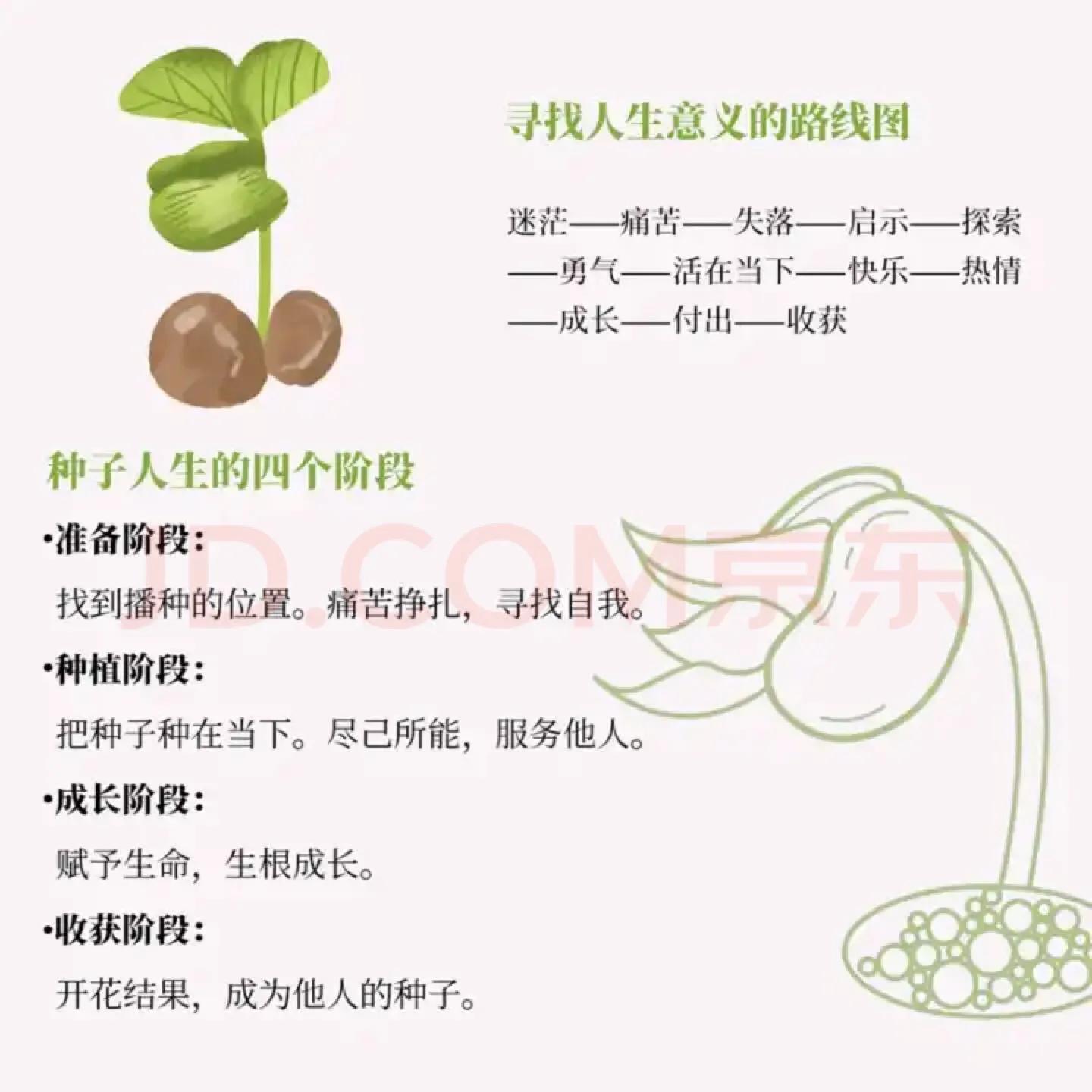 种子虽小，却能带你走出迷茫的人生