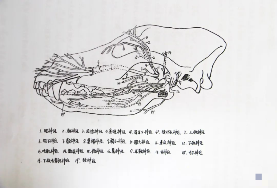 高校学霸笔记大赏！网友：果然是学霸的笔记我看不懂