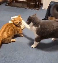 小学生拉扯同学书包致其摔成十级伤残，责任谁承担？