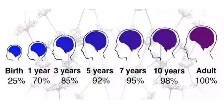 小阿力的大学校（2）