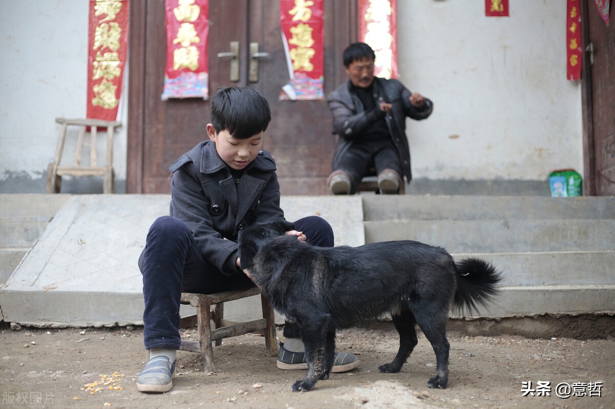 有一种话叫河南话，每次听见都会想家