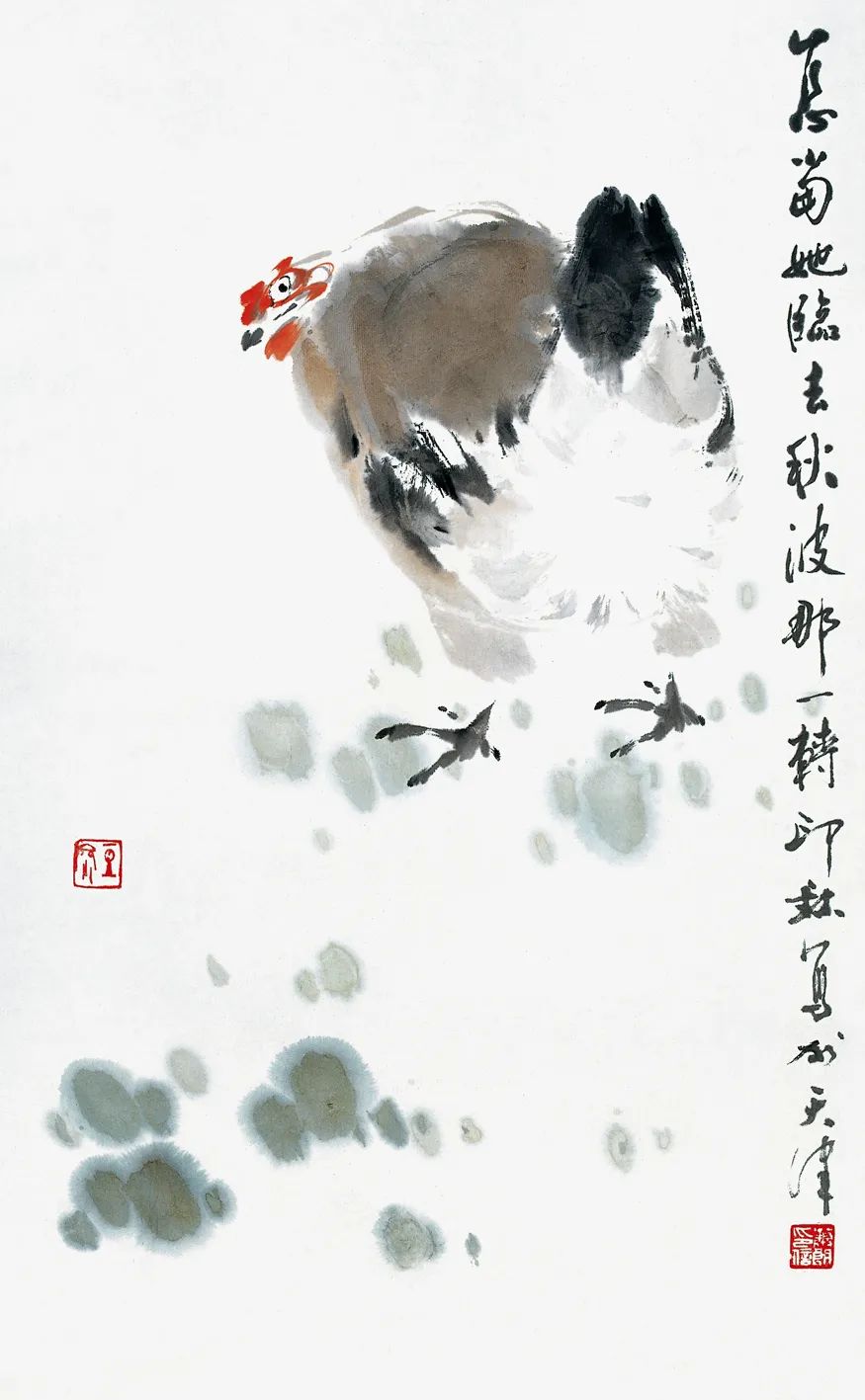 萧朗笔下的鸡:雄鸡赳赳,母鸡柔柔