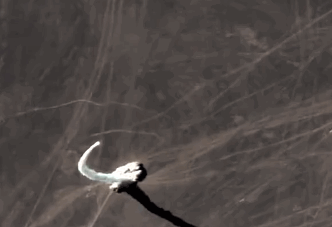 ������ָ�ӹ������й��߱�����ĸ������������ĸ�����ܱ����ɴݻ�