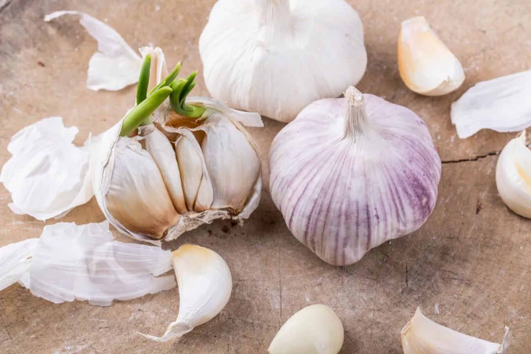 如何造就一颗好的紫皮大蒜？