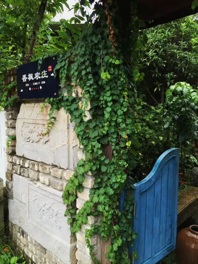 五大乡村民宿改造案例,让你过足乡愁瘾