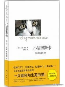 美国小猫奥斯卡，能准确预言人类生死，小猫预言比医生还准确