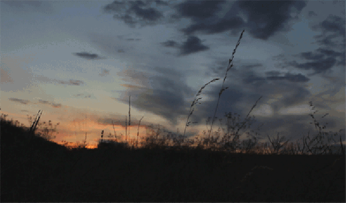 （试行）律师代理医疗机构行政处罚案件操作指引（2021）