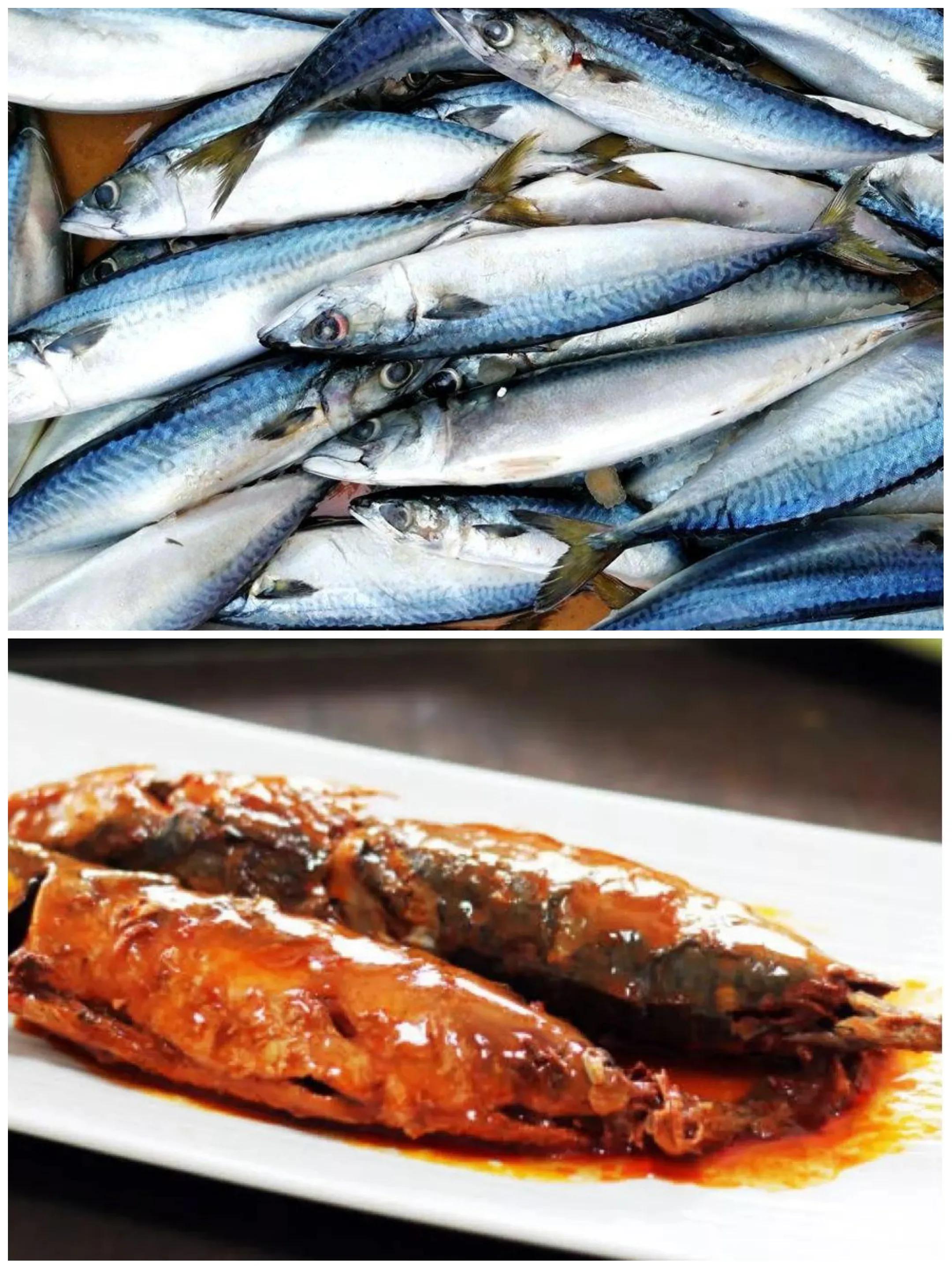 常吃的海鱼大全!请收藏,旅游能用上