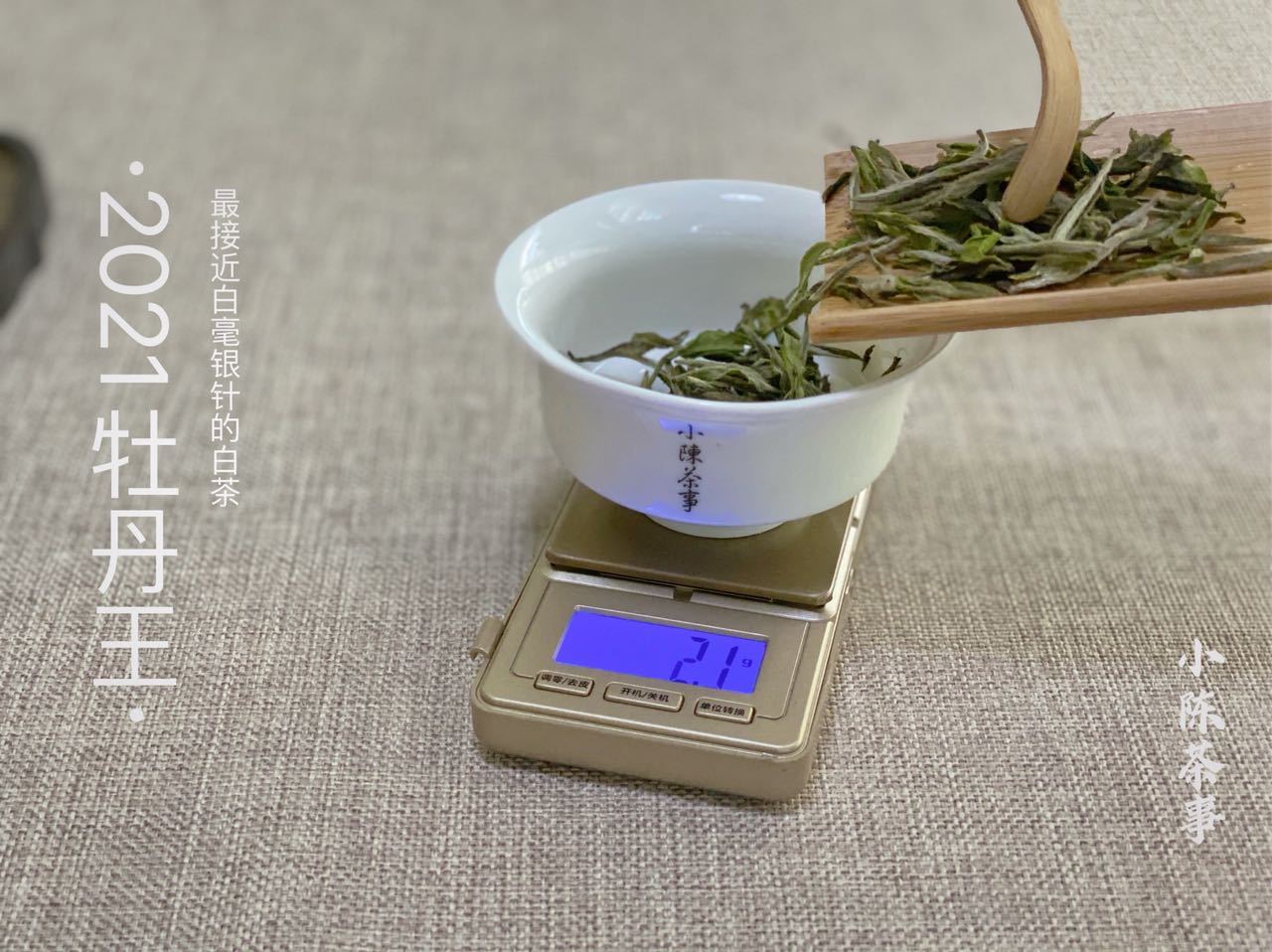 白茶冲泡方法（5个泡茶技巧可以让白茶更香）