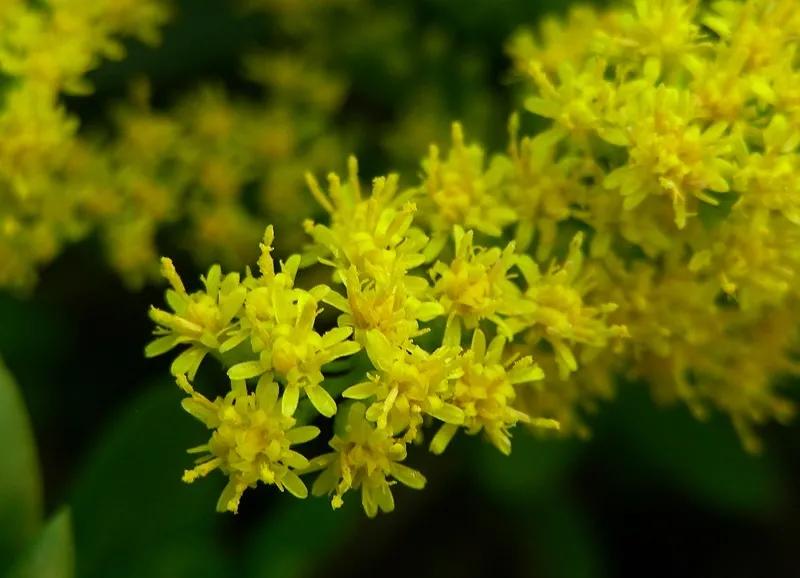 长大后才发现难忘的事不一定是快乐的，很可能充满了无奈