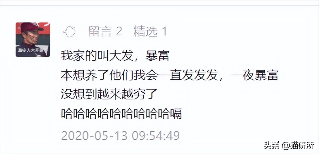 爆肝统计5000个猫名，让所有人都笑死在这些沙雕名字里
