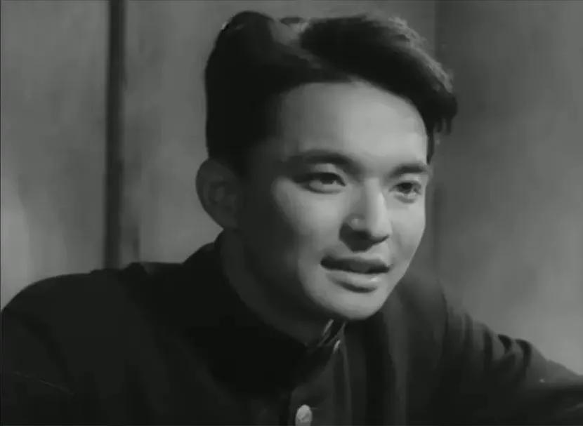 世界电影（0128）日本电影《正是为了爱》（1955）剧照欣赏