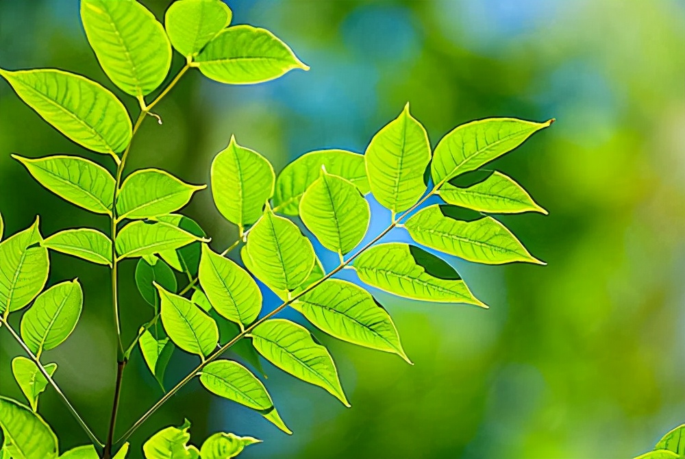 孔子：人生敬畏，非礼勿视，非礼勿听，非礼勿言，非礼勿动