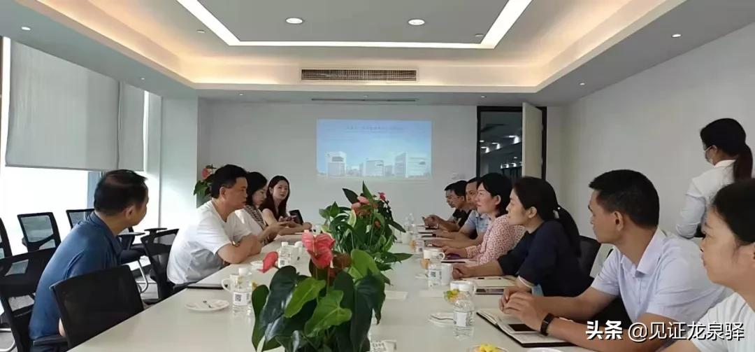 聚焦招商｜第一站：大面——全域开放 全力攻坚 全面提升