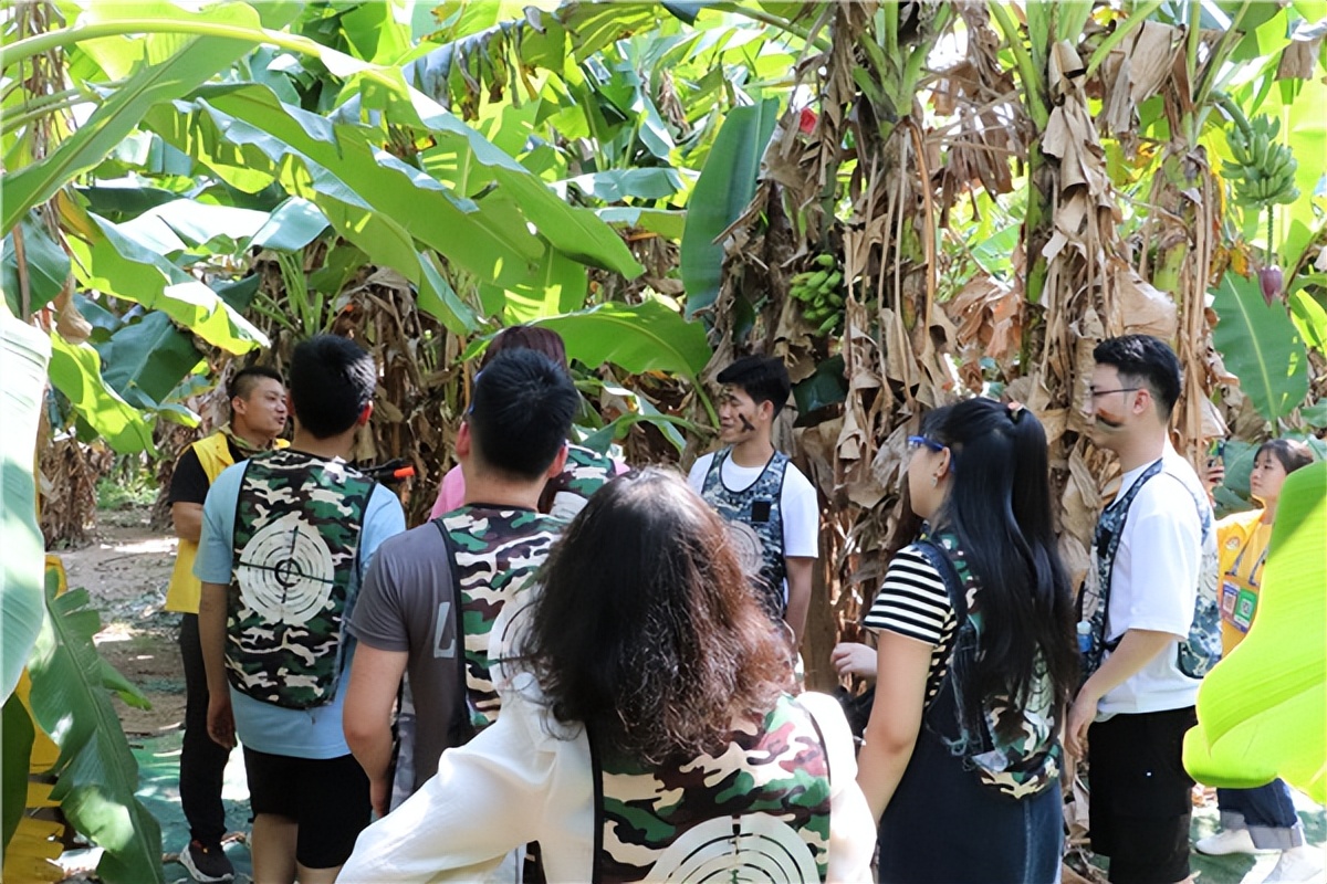 公司团建HR不踩雷｜大树生态农场户外真人版吃鸡