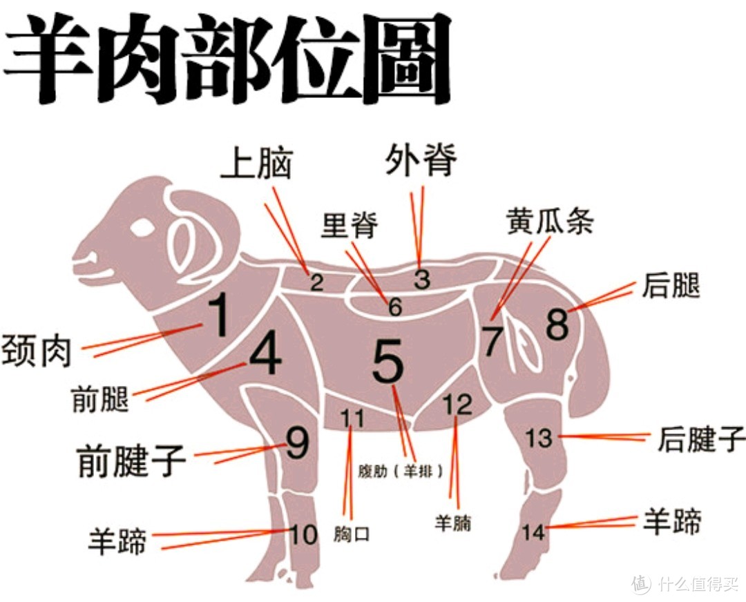 清炖、孜然、葱爆...过年就得吃羊肉啦！这份中国羊肉地图请收好
