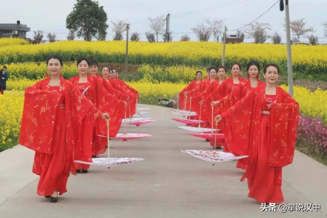 汉中南湖景区郁金香花开正艳 花海+汉服 4月2日一场视觉盛宴来袭