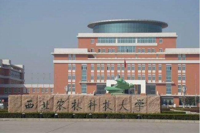 兰州大学vs深圳大学，偏远985和顶尖双非名校，哪个值得报考？