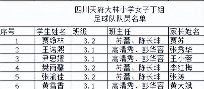 大林小学参加2022年第二届“天府杯”校园足球总决赛取得优异成绩