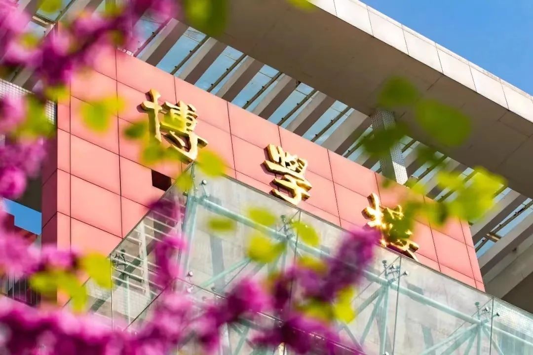 一次拿下“2个”学位！西南政法大学这8个项目今年招生，报考必看！