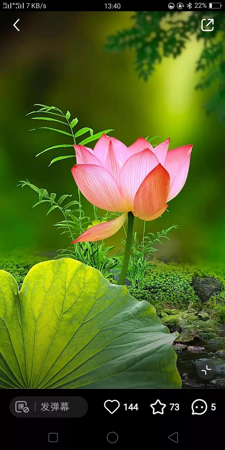 美团骑手，顾客让买烟怎么办