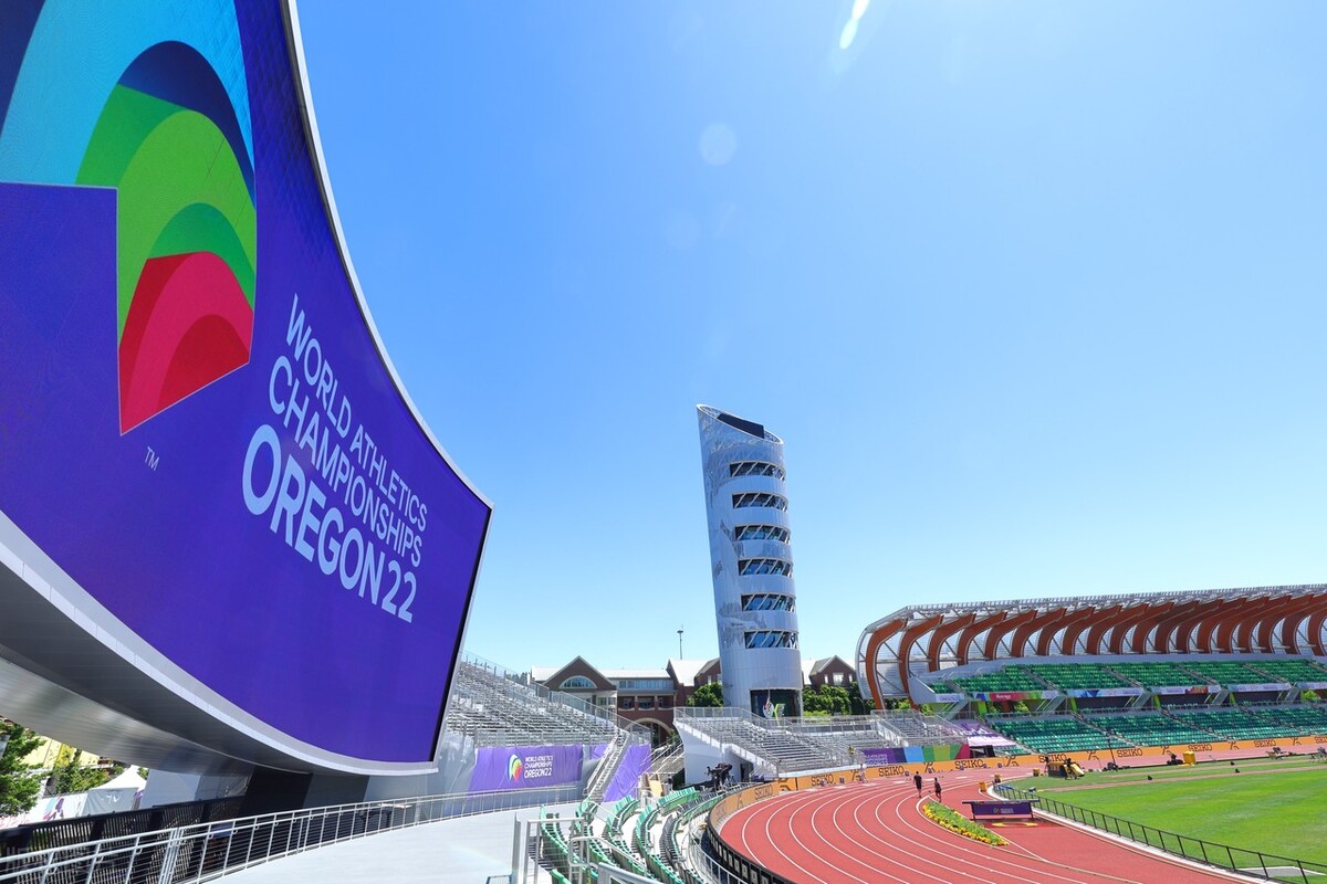 惊喜，突破，遗憾