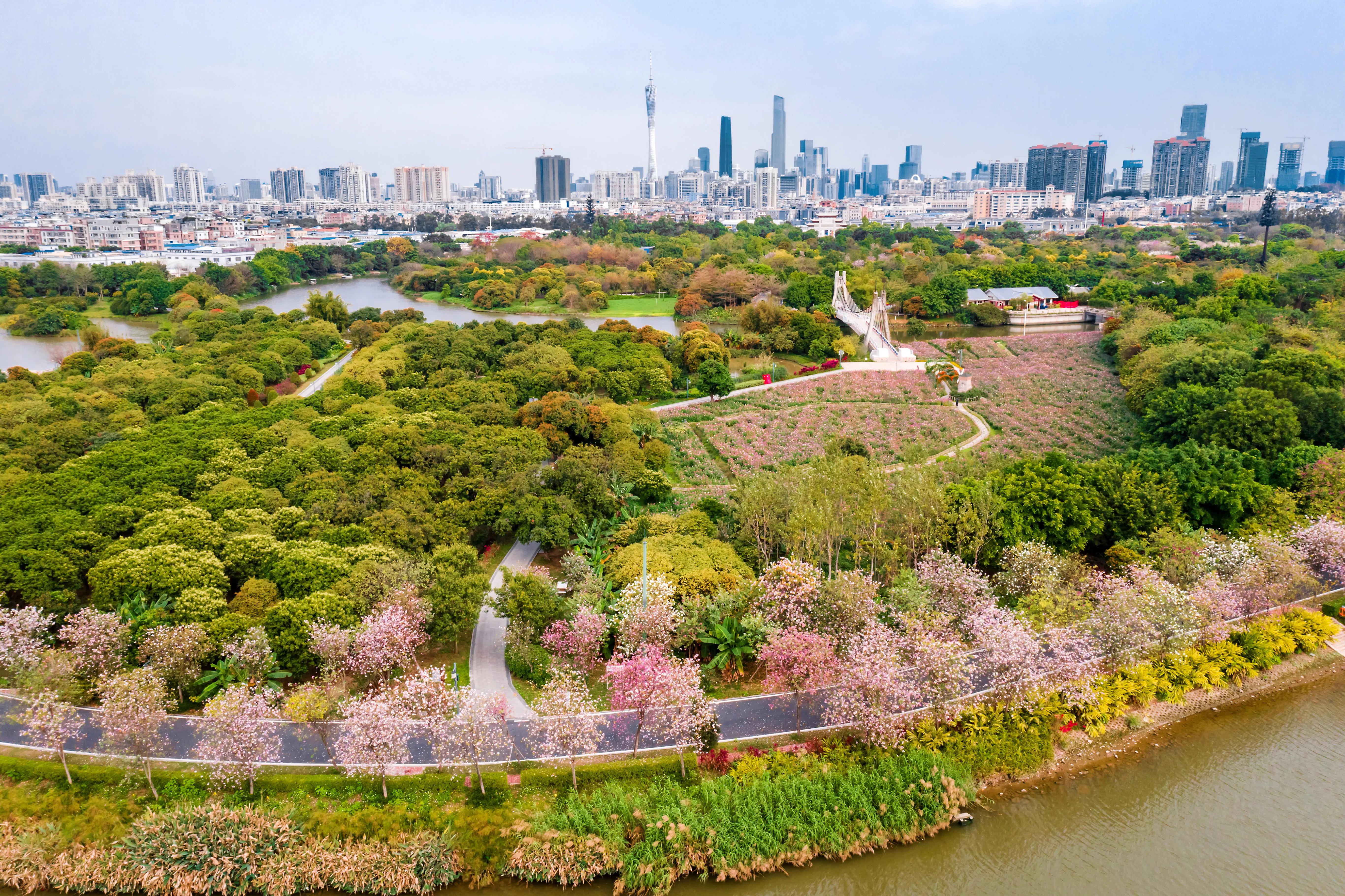 广州—“花都”！踏青最美的七个地方，你都去对了吗？