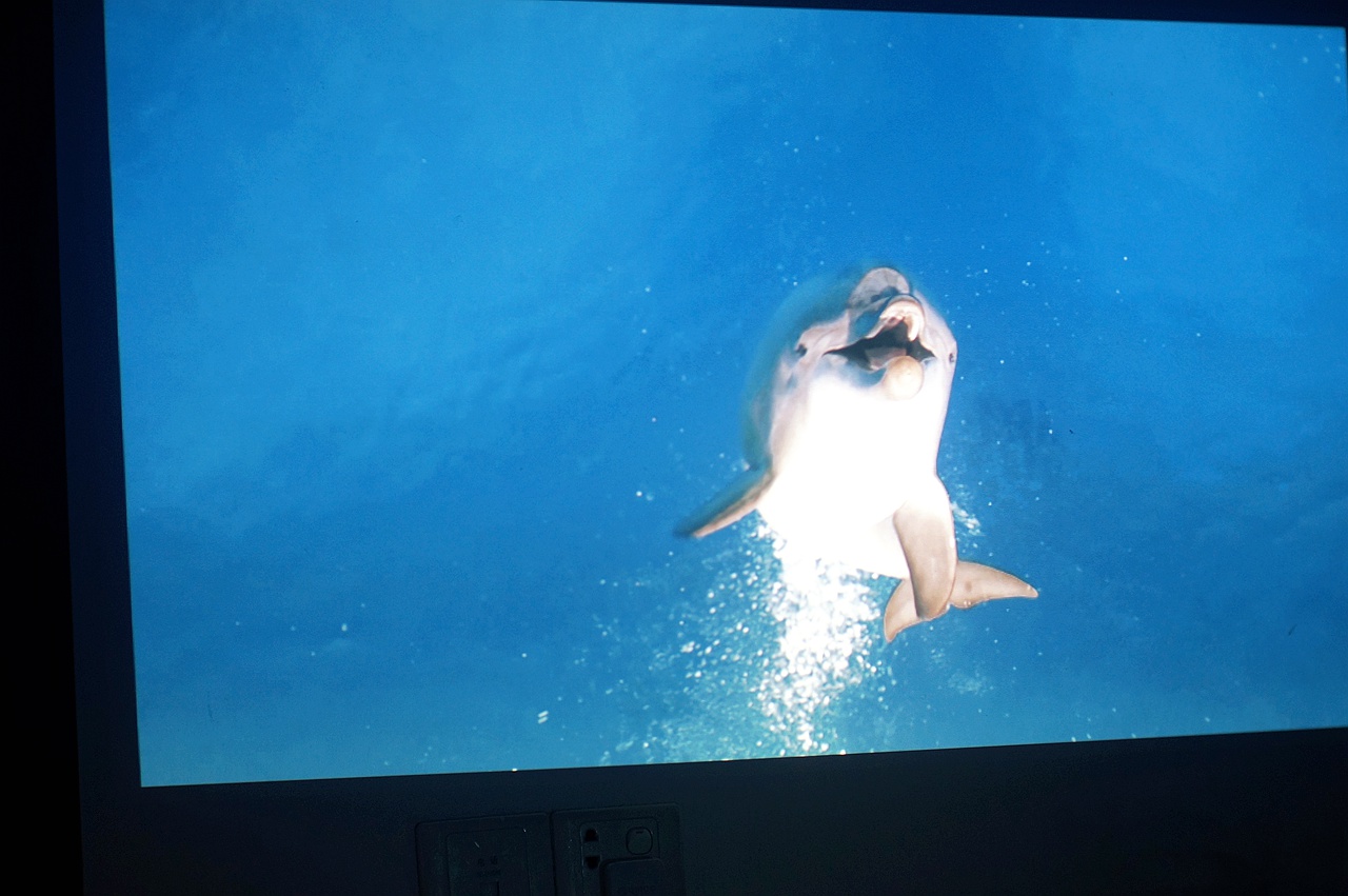 给我的老投影装上智能的翅膀