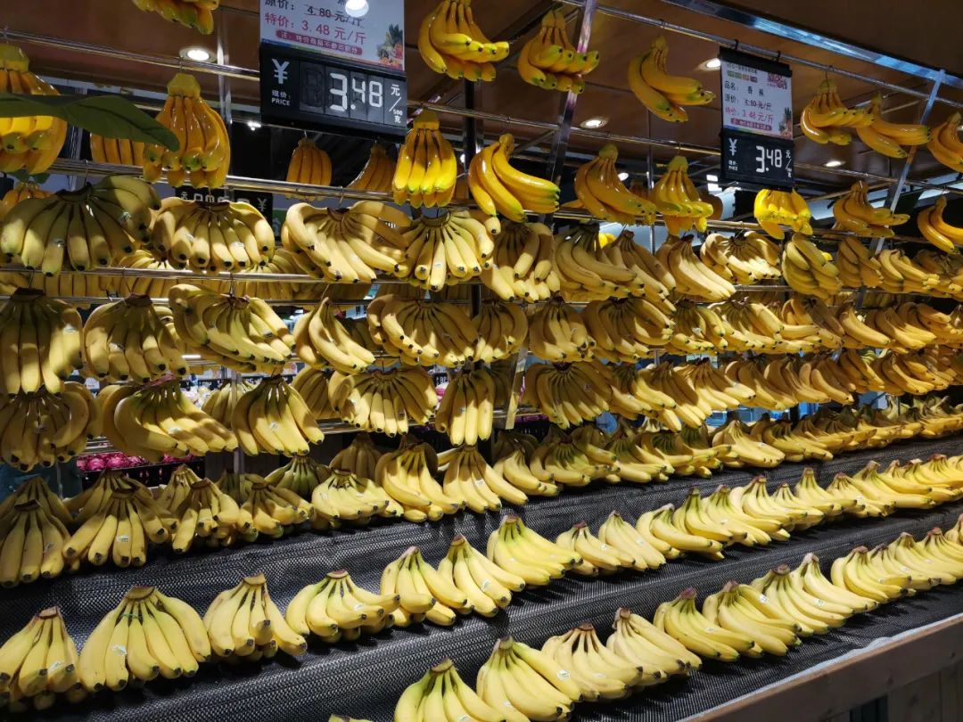 һ����̽���������̳�������������Ӫ��Ӫ+�ֳ�