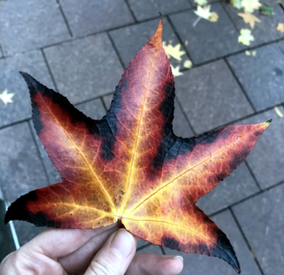30张让人惊讶的巧合照片,证明生活处处有惊喜