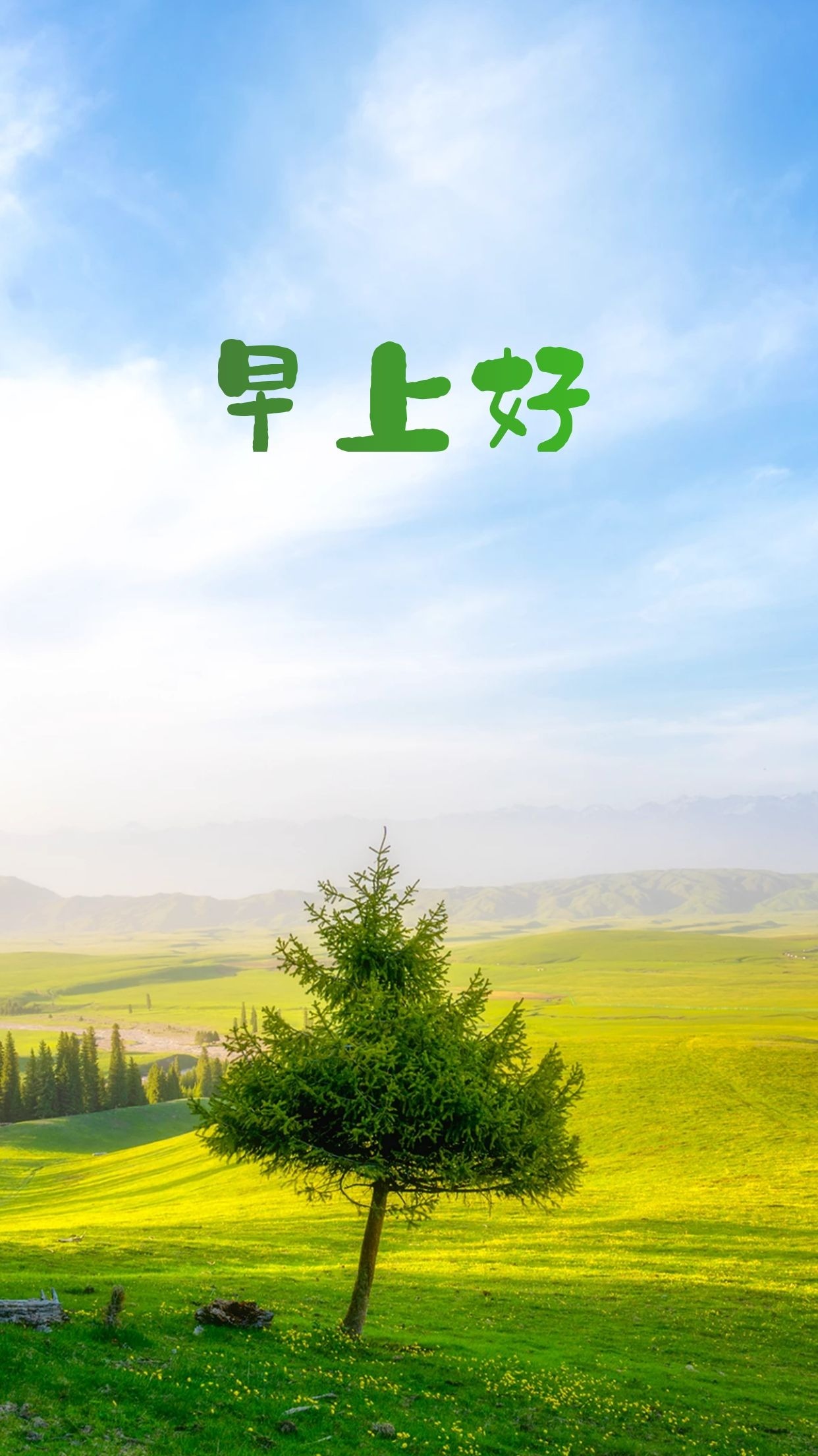 正能量励志早安图片语录,披荆斩棘,迎光前行