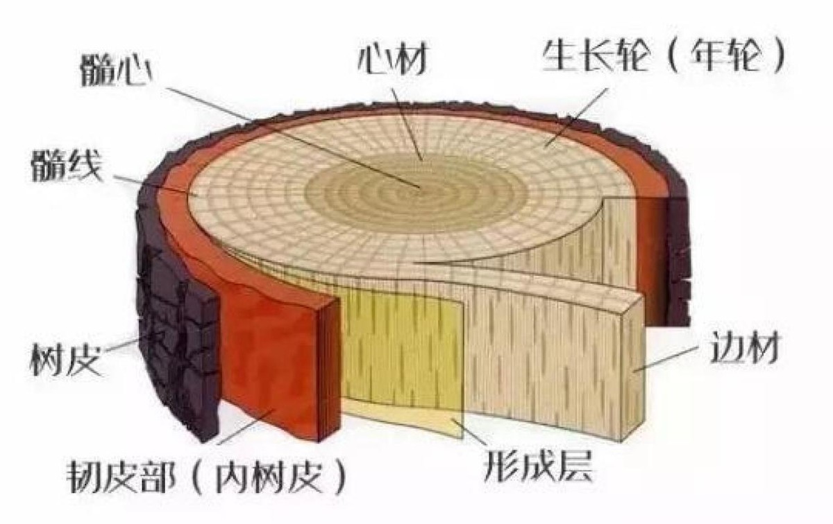 和珅一倒，嘉庆吃饱，和珅豪宅中的一根柱子竟值27亿？