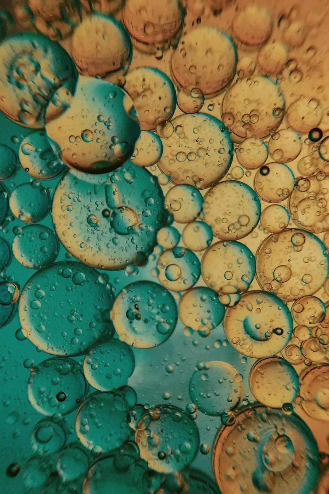 冬日新宠！这些用了会发热的精华，你敢上脸吗？