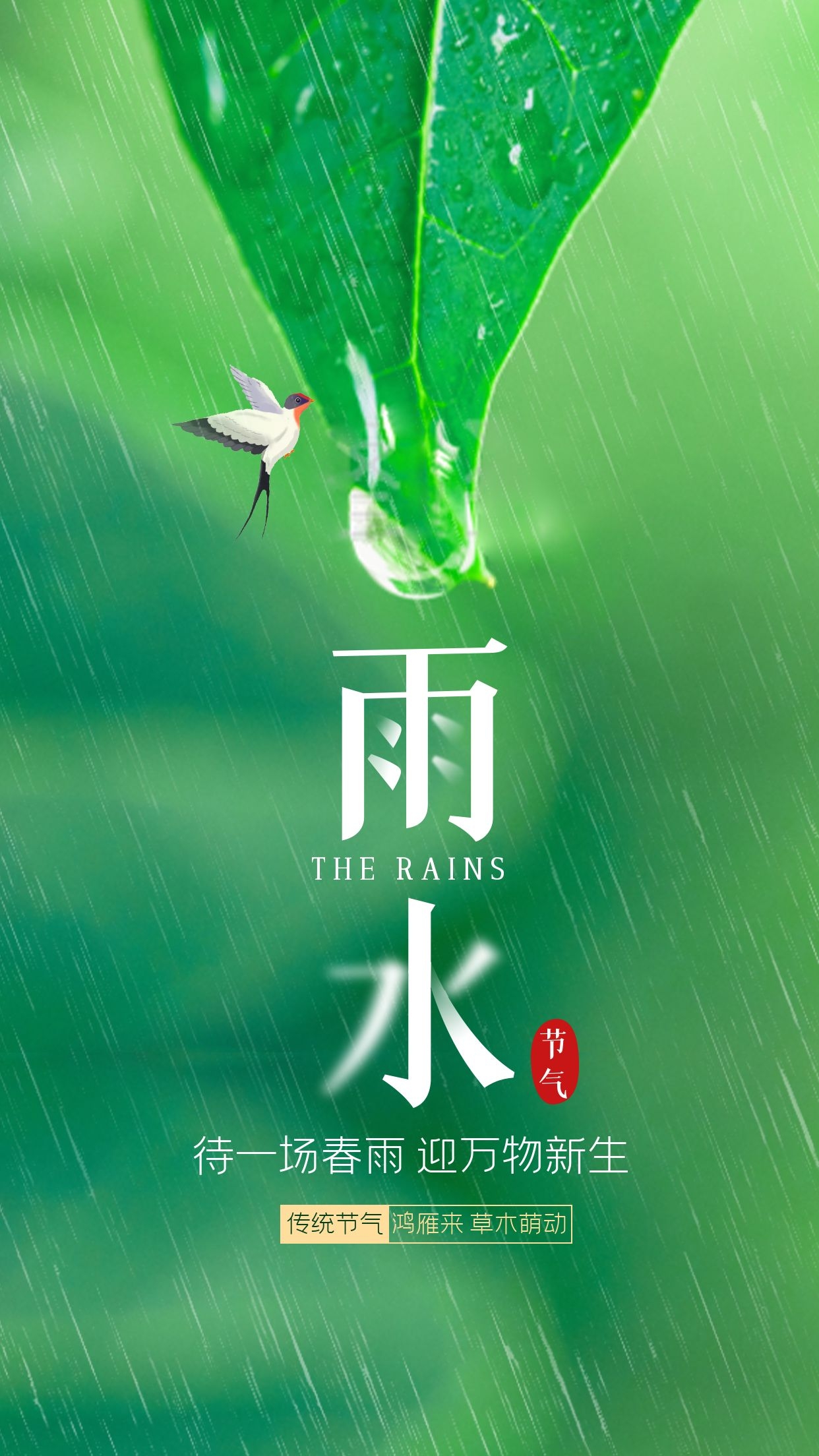 雨水节气图片配图高清唯美大全，雨水文案句子，雨水祝福语问候语