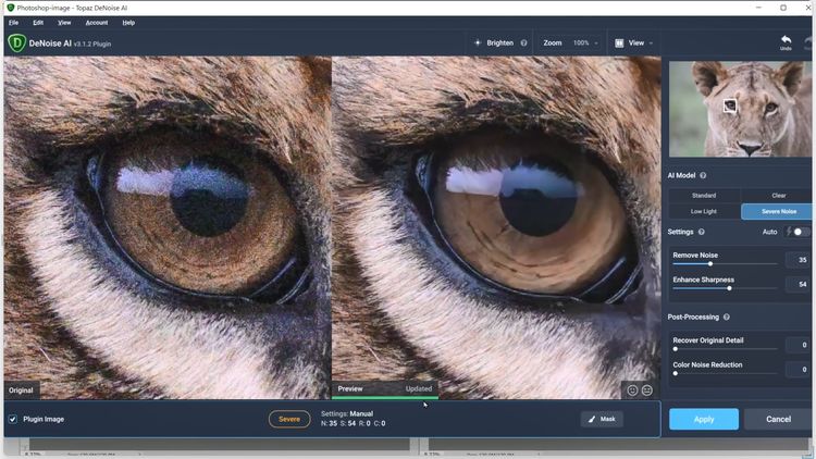 尼康Z9 非洲实战测评（一）优秀的高感画质