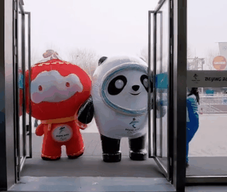 冰墩墩名场面可爱集