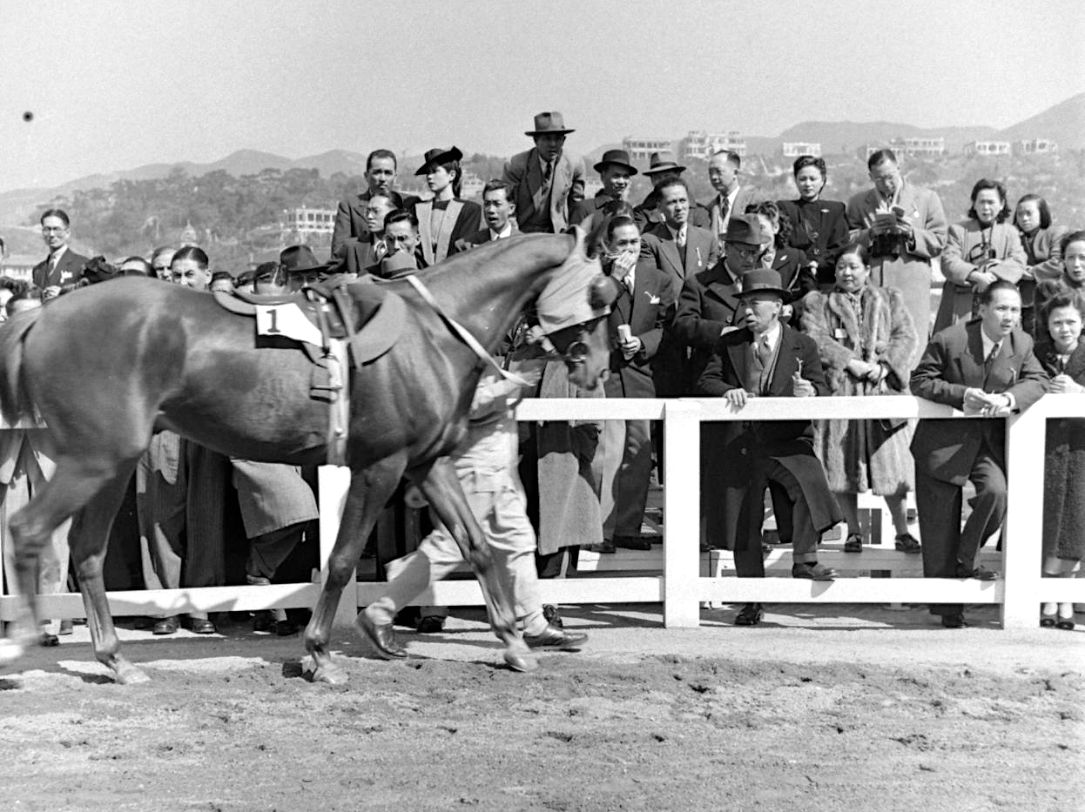 扎着两条小辫的亚洲女首富龚如心，丈夫被绑失踪后，性情大变