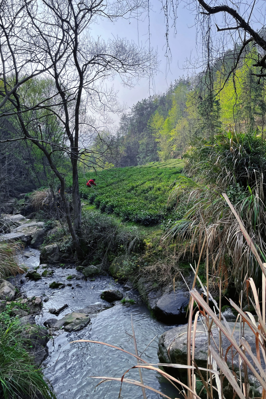 太治愈~武汉自驾2H，到山里去隐居~木屋森林溪水，神仙度假