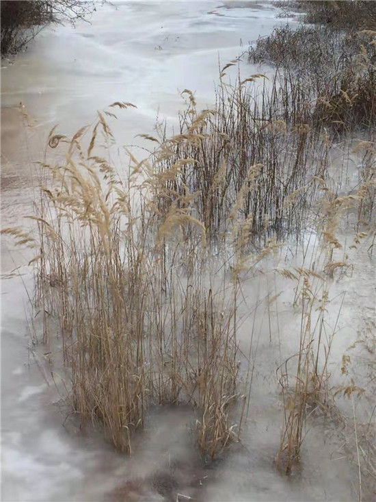 話(huà)說(shuō)天水與“天水湖”下