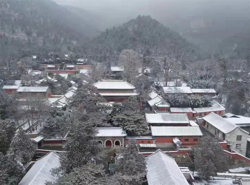 與春景相映形成了獨特的景觀北海公園當北京的春雪遇上北海公園的白塔