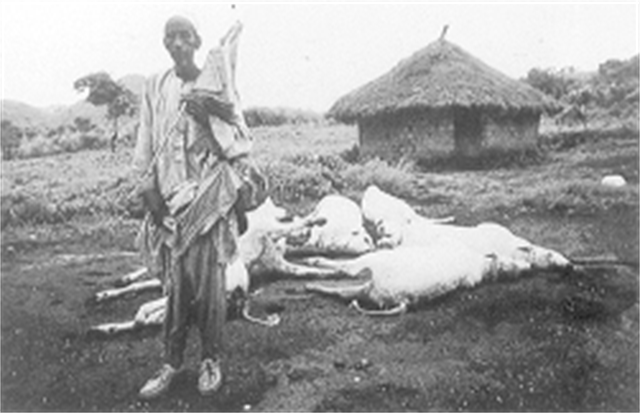 1986年非洲“杀人湖”一夜夺走1700人生命，将水抽干后，揪出凶手