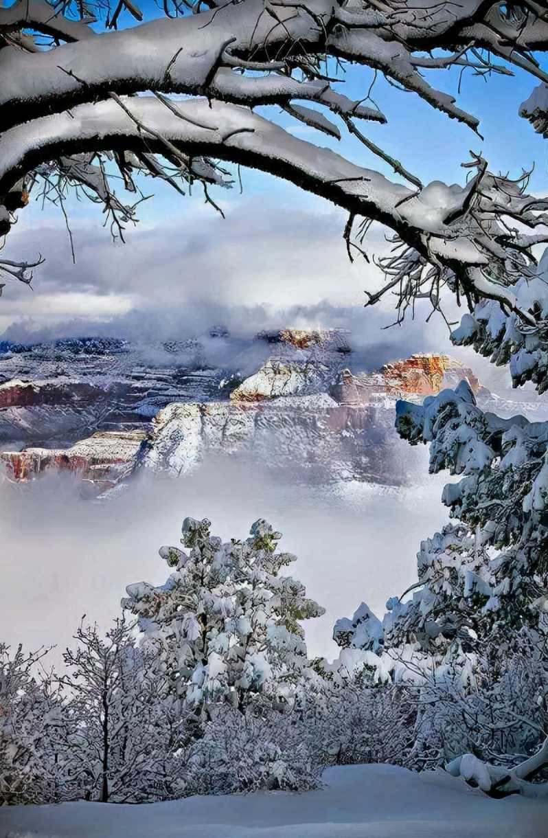 松柏木命的人取什么名最好呢_达一风水网