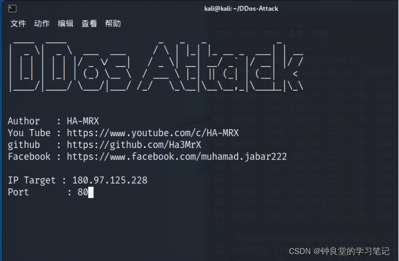 基于Kali的一次DDos攻击实践