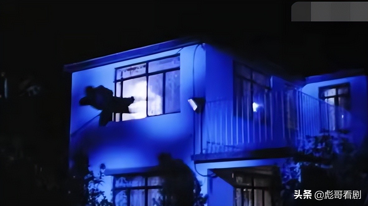 童年阴影系列电影之《再世追魂》，龙凤胎怪异的胎记，值得一看